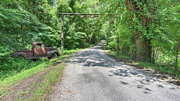 A rural road flanked by dense greenery and an old truck parked on the side.