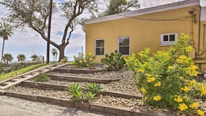 A yellow building with a window, a tree, and a cactus.