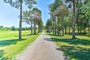 A gravel path flanked by tall trees in a sunny, open field. - Mcalester Cottage w/ 30 Private Acres & Ponds! (McAlester)