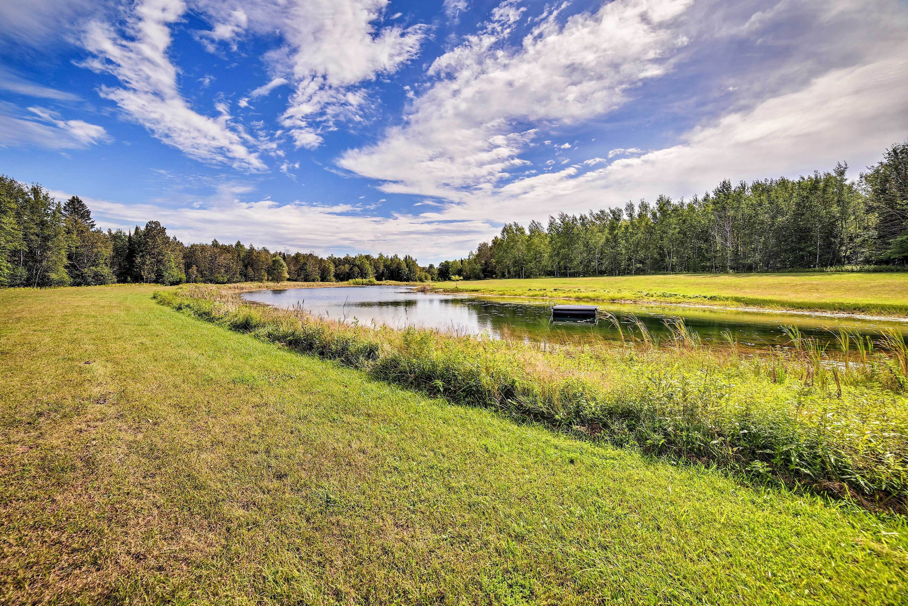 A serene landscape with a pond, grassy fields, and a dense forest under a partly cloudy sky.