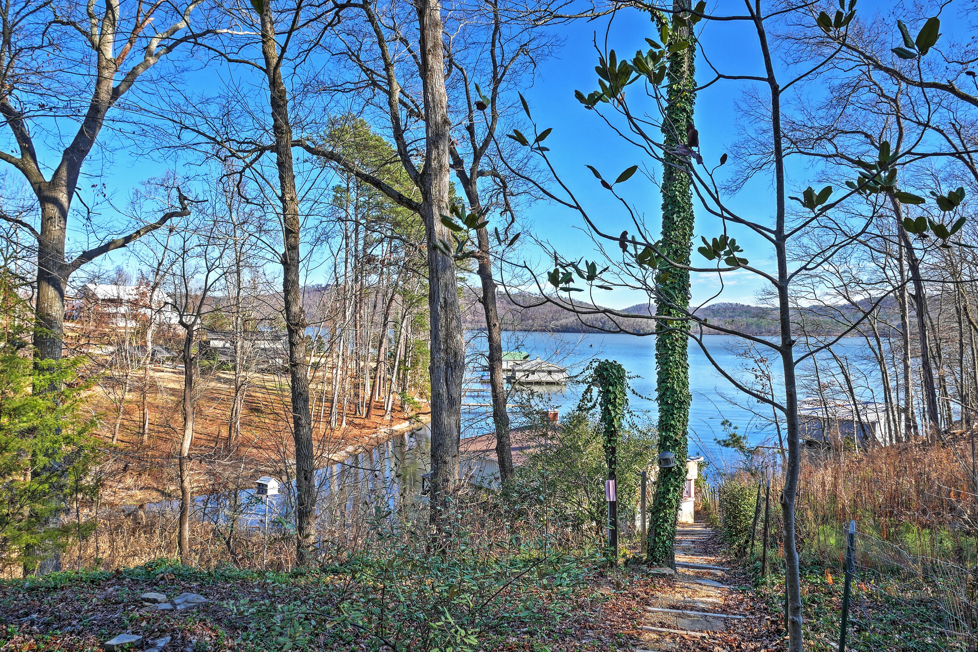 A forested area with a clear path leading to a body of water, surrounded by trees and a distant view of buildings.