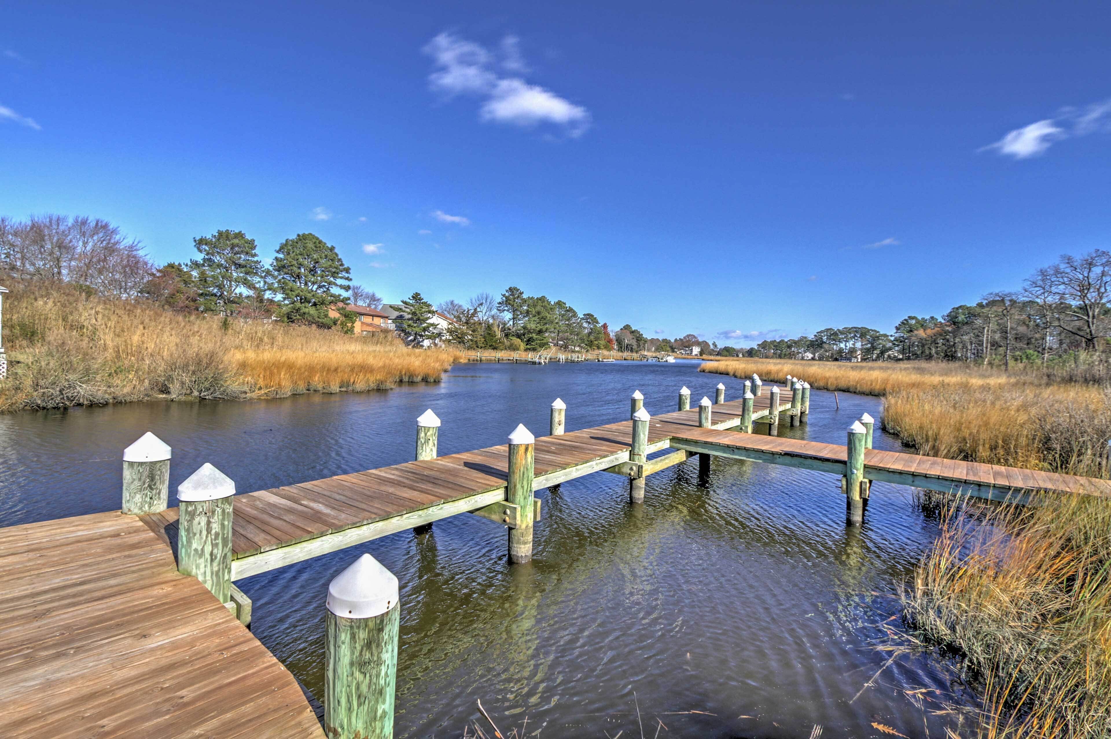A wooden pier extending over a calm body of water, surrounded by tall grasses and trees.