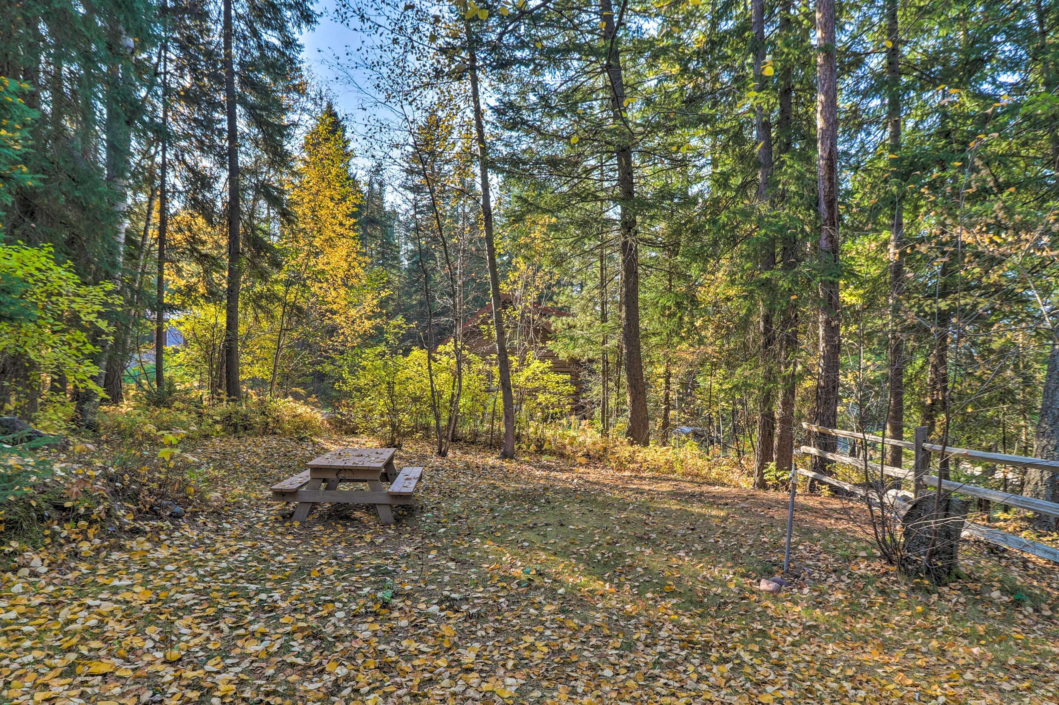A forested area with a picnic table surrounded by fallen leaves.