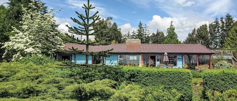 A house surrounded by dense greenery and trees.