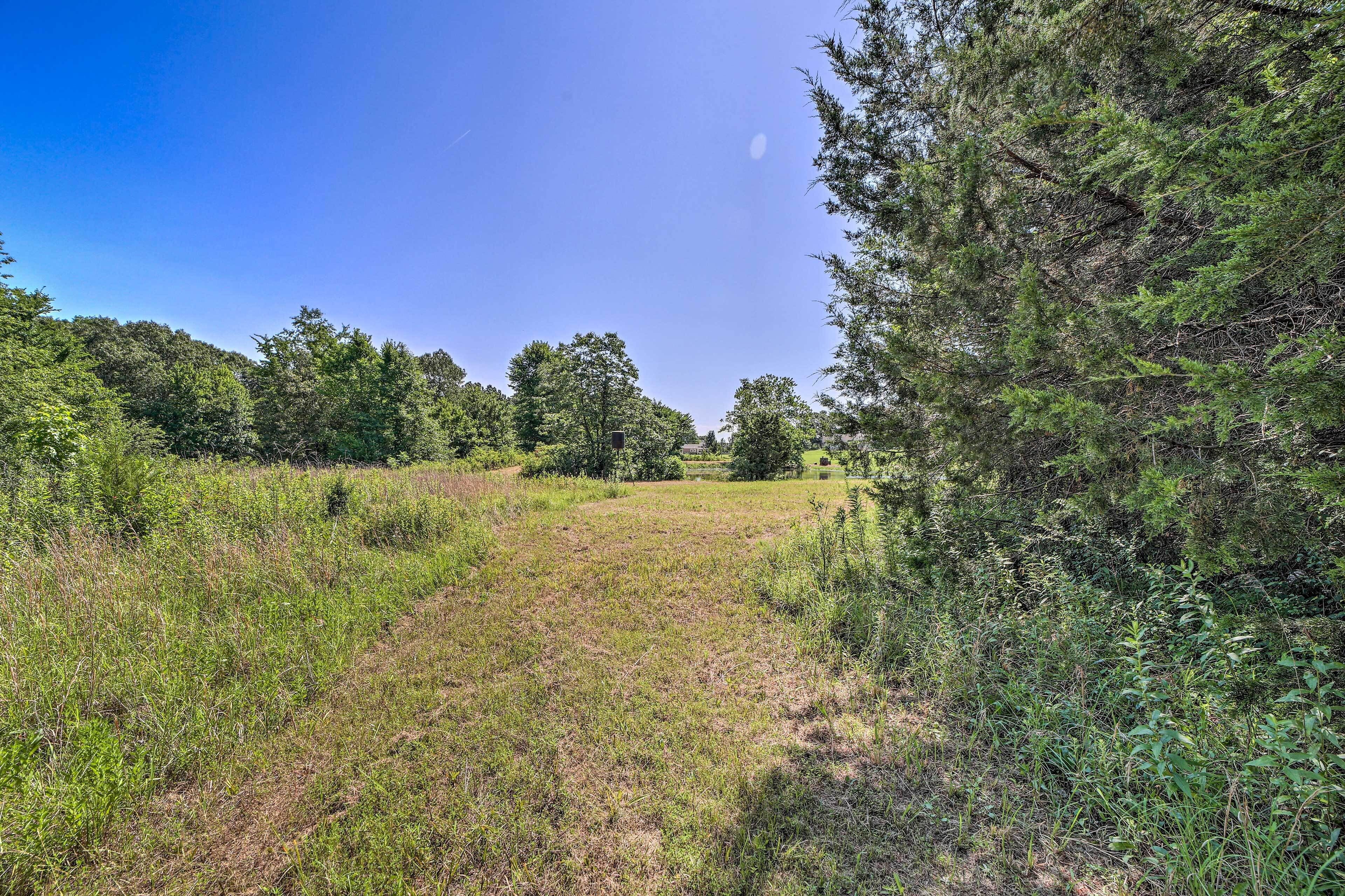 A natural landscape with a grassy path, dense trees, and a clear sky.