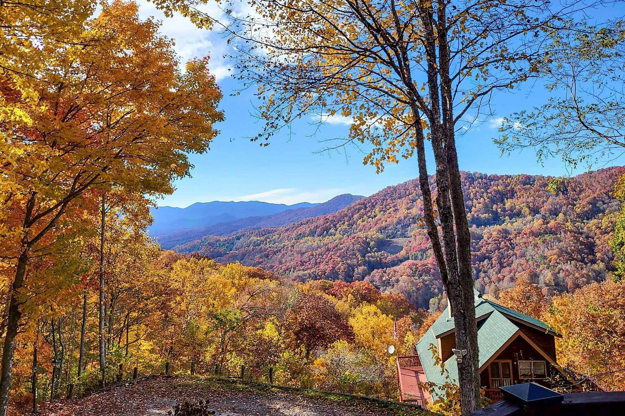 A cabin with a green roof nestled among autumn-colored trees, surrounded by a forested mountain backdrop.