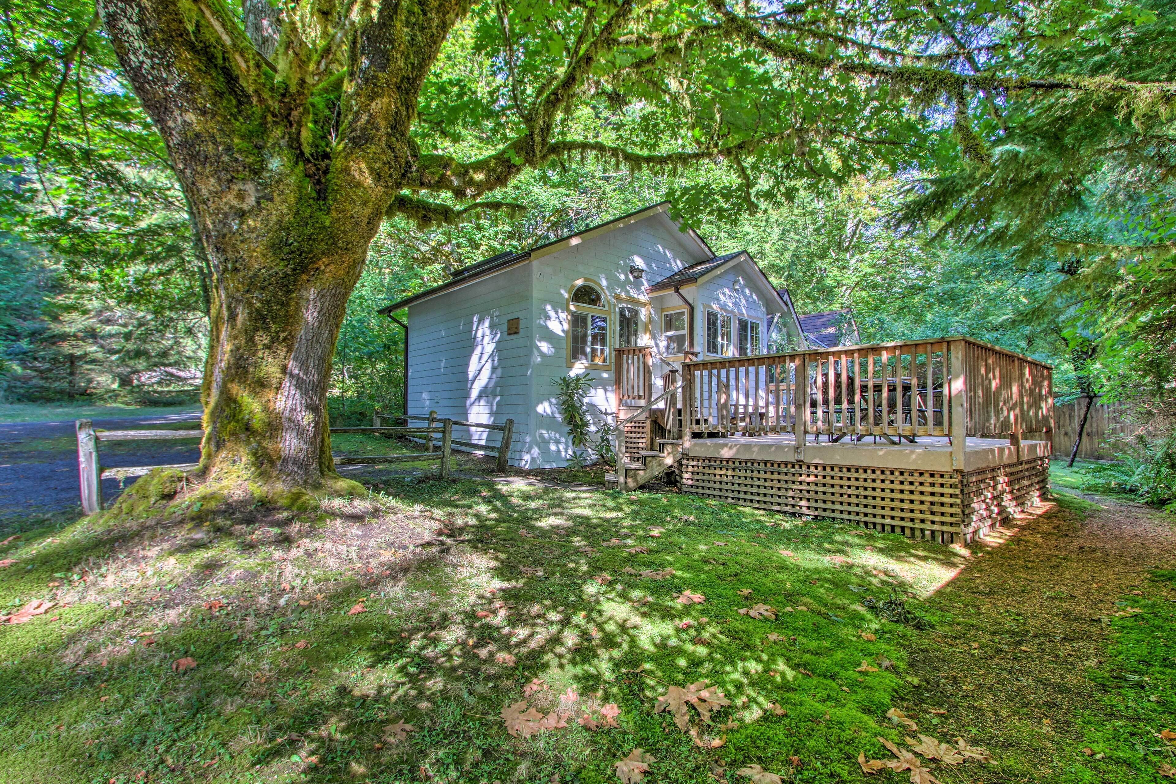 Cottage (1 Bedroom) | Nội thất