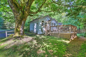 A small house with a wooden deck, surrounded by lush greenery and a large tree. - 'elk Hideaway:' Ashford Cottage w/ Hot Tub! (Ashford)