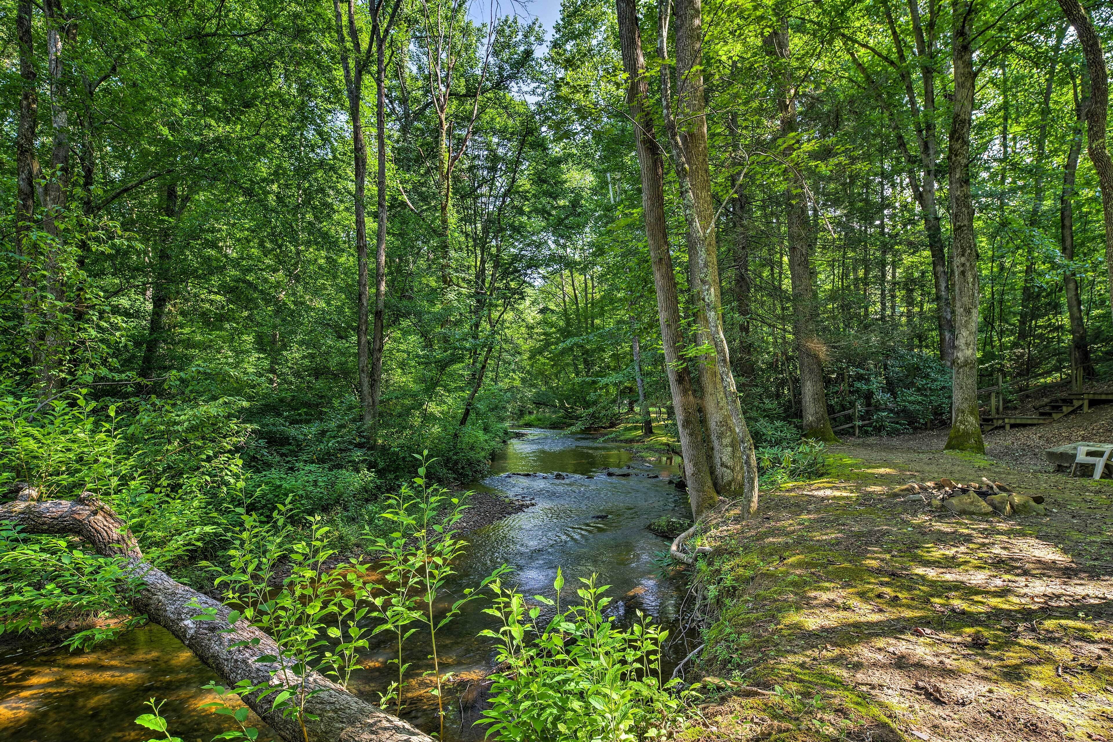 A forested area with a stream, a fallen tree, and a bench.