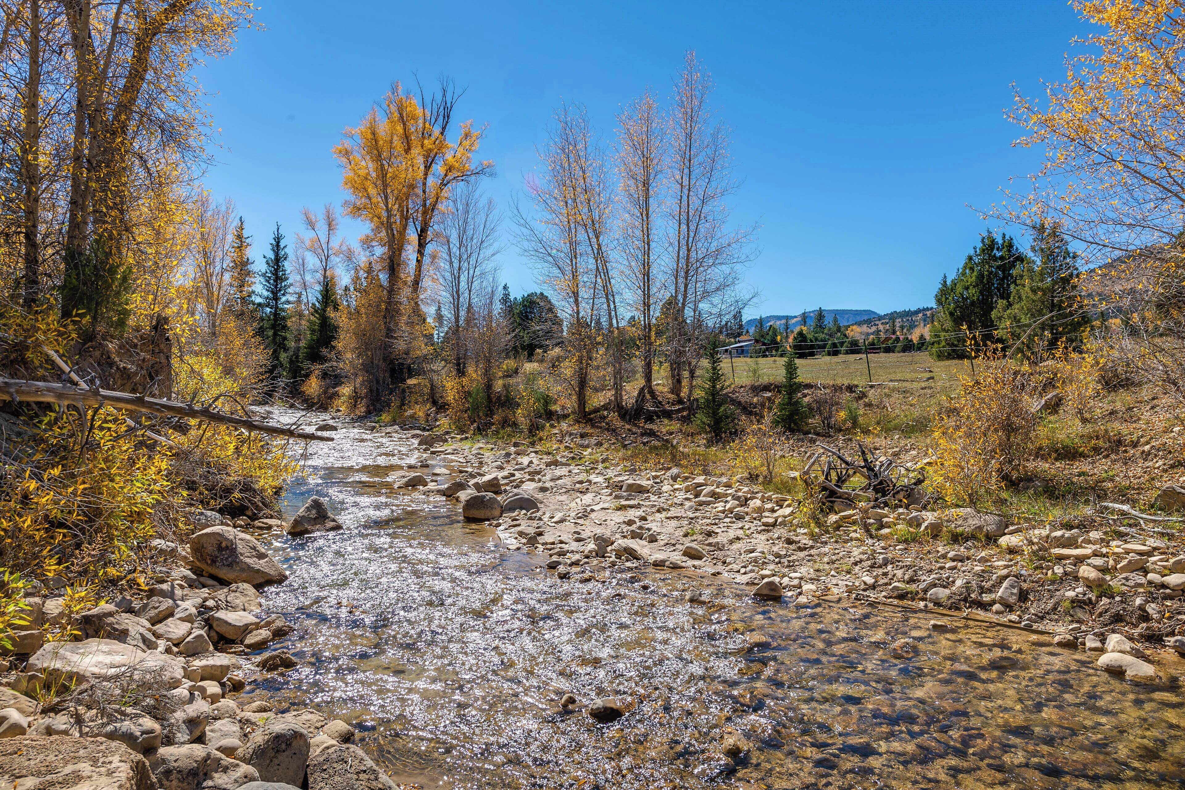 A clear stream with rocks and autumn-colored trees.