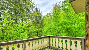 Um deck de madeira com guarda-corpo, com vista para uma floresta densa.