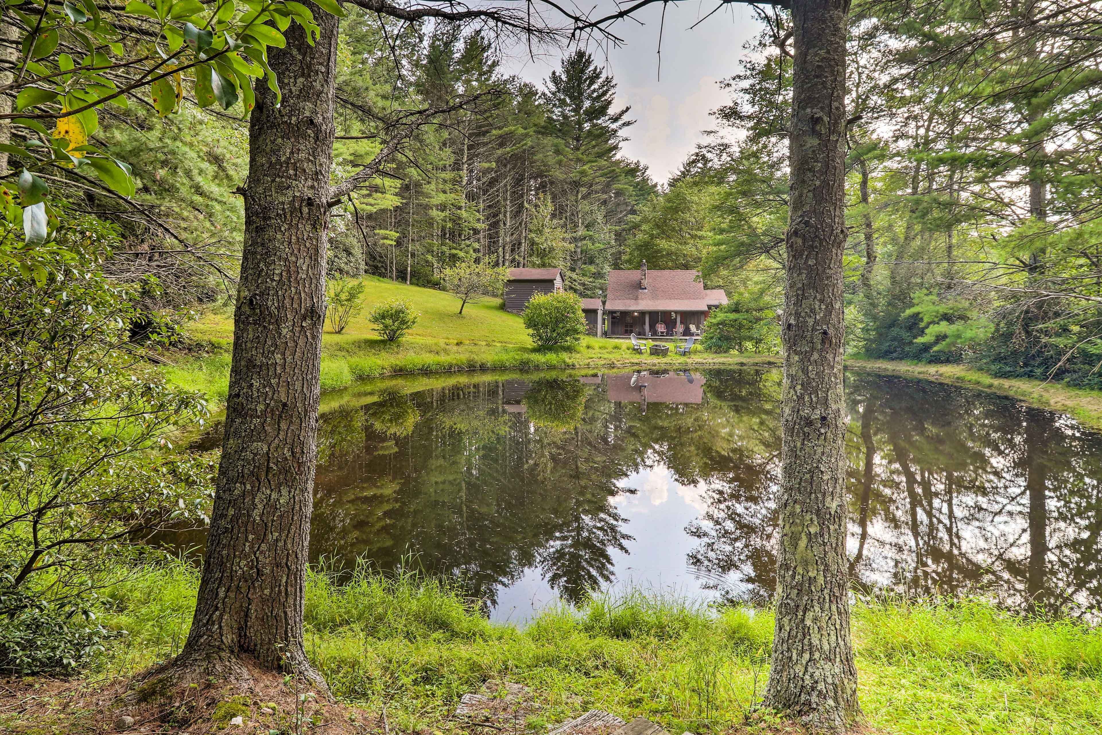 Cozy Ennice Cabin on the Blue Ridge Parkway!