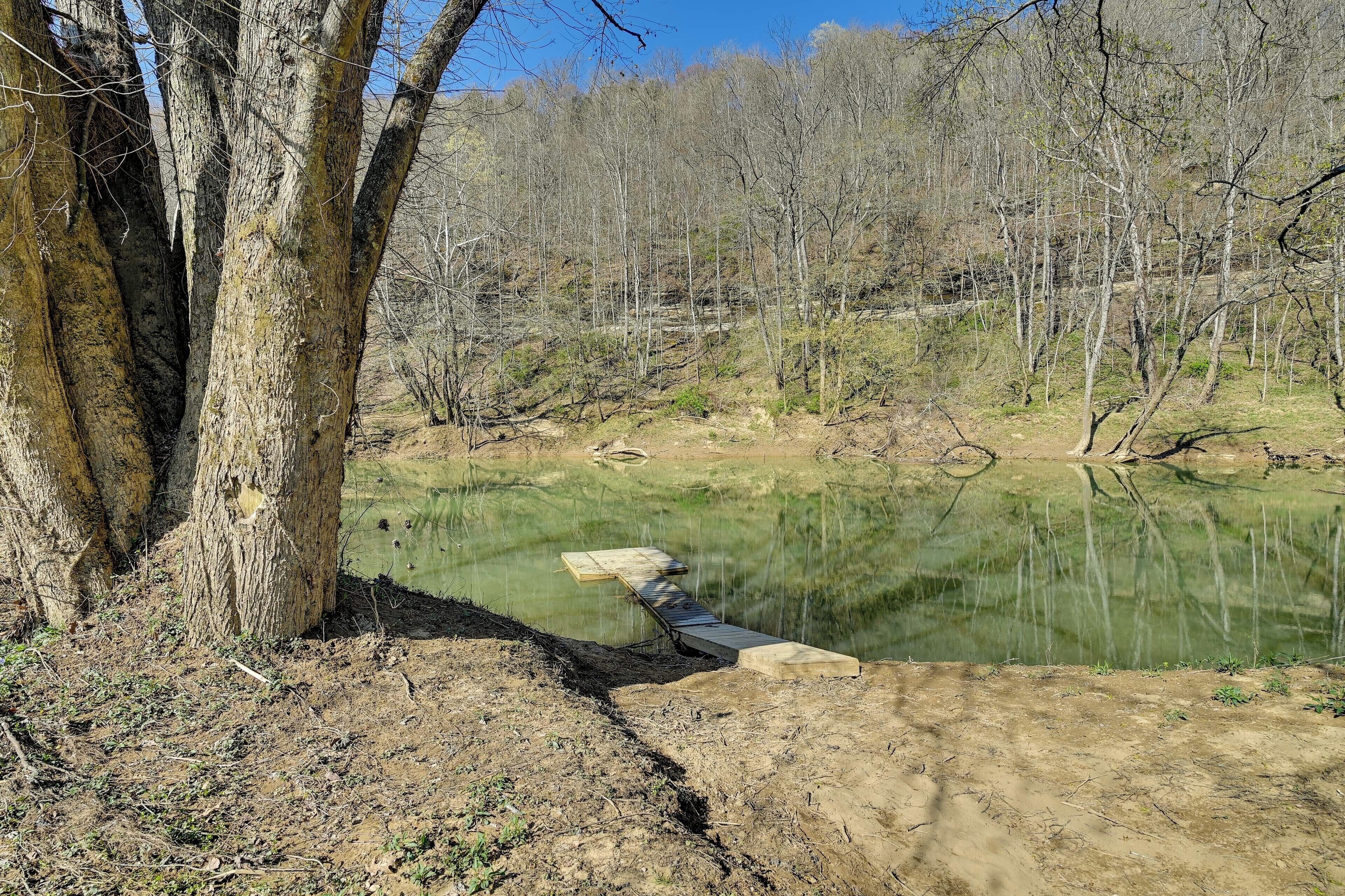 A natural landscape with a pond, trees, and a wooden bridge.
