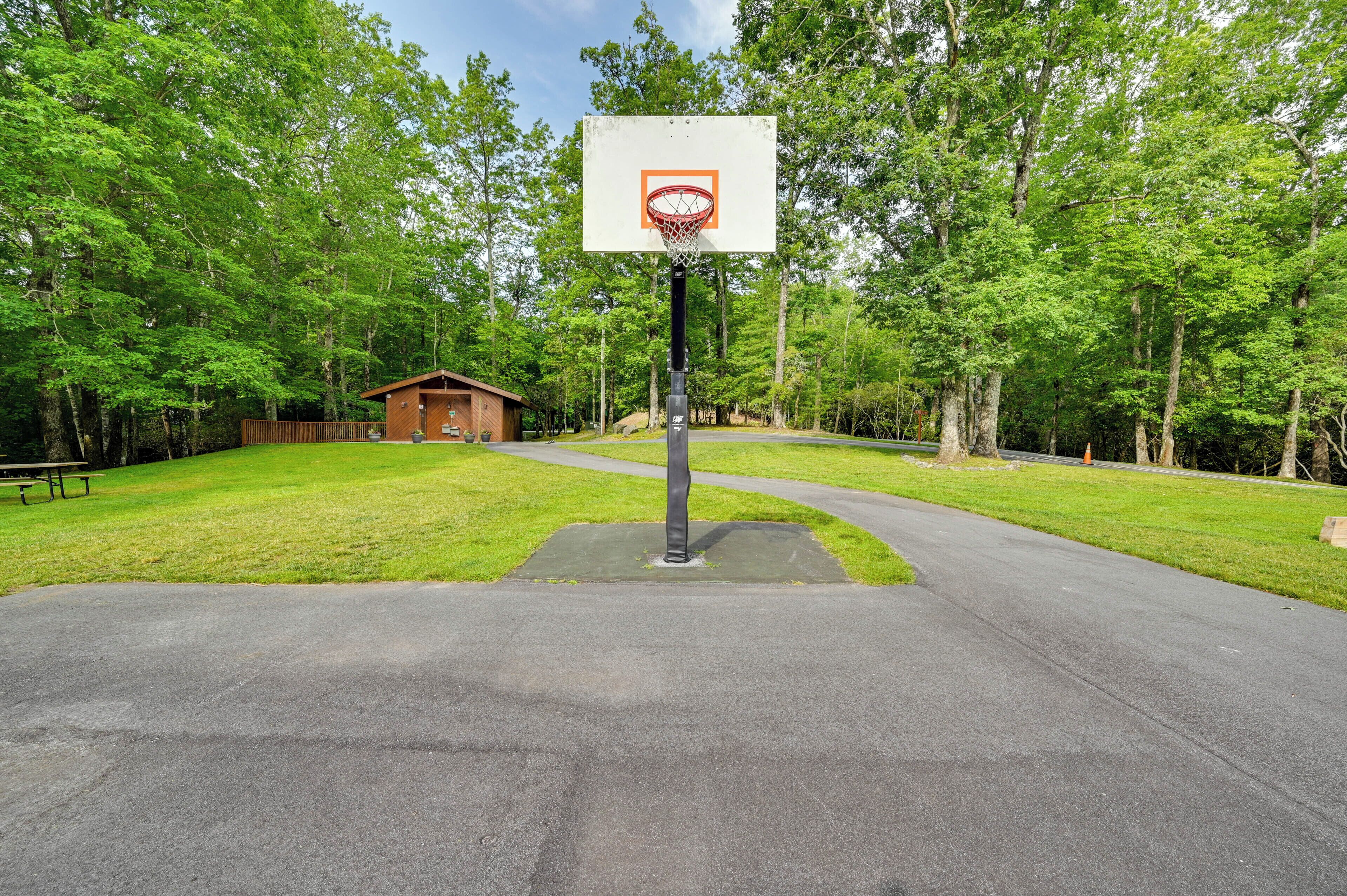 A basketball court with a hoop, surrounded by a grassy area and trees.