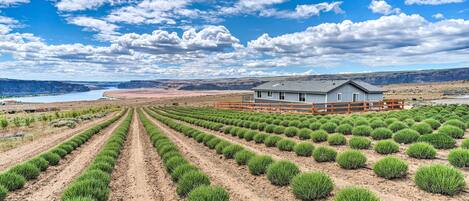 House (3 Bedrooms) | Front of property
