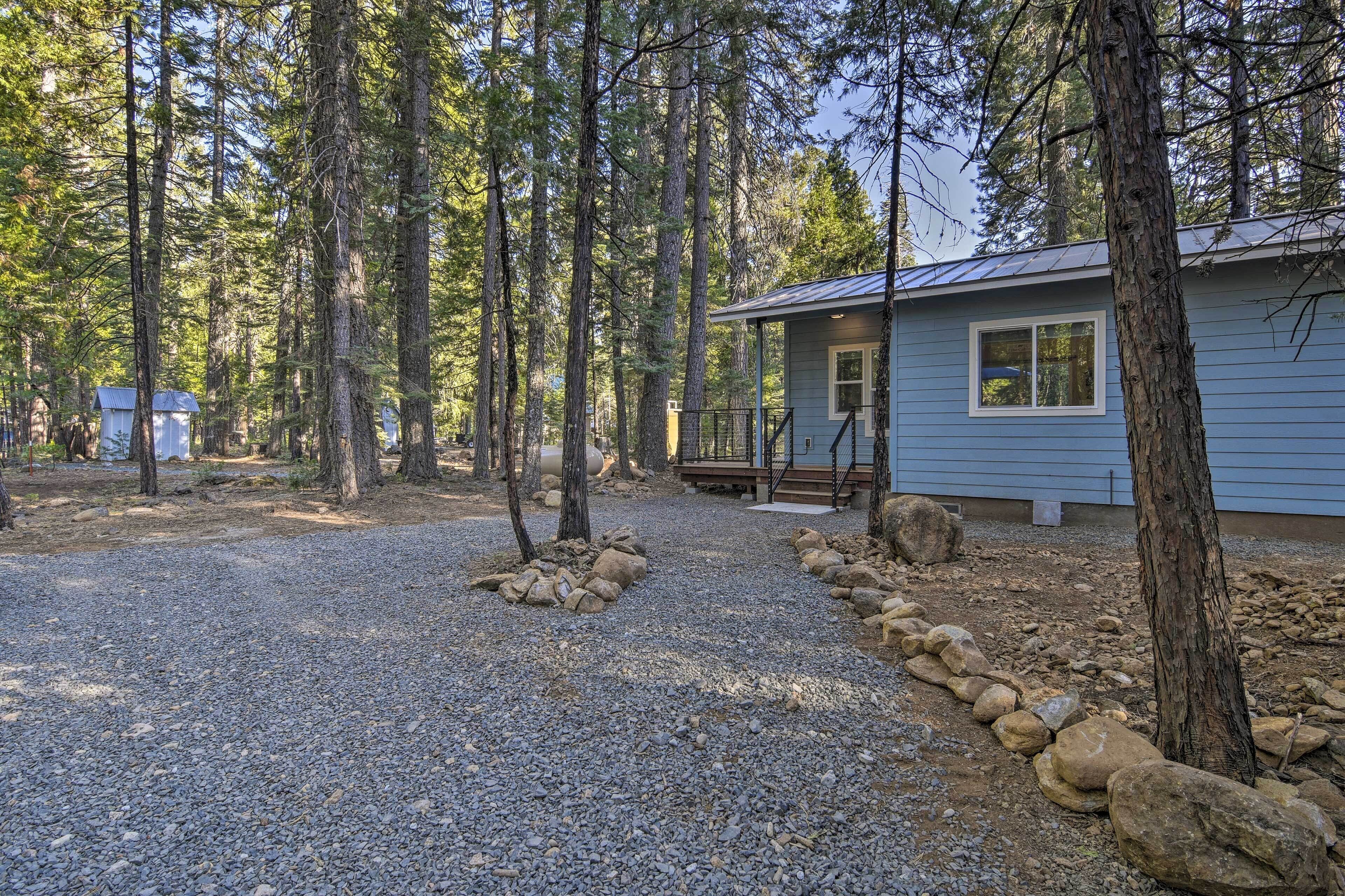 A cabin with a gravel driveway, surrounded by tall trees.
