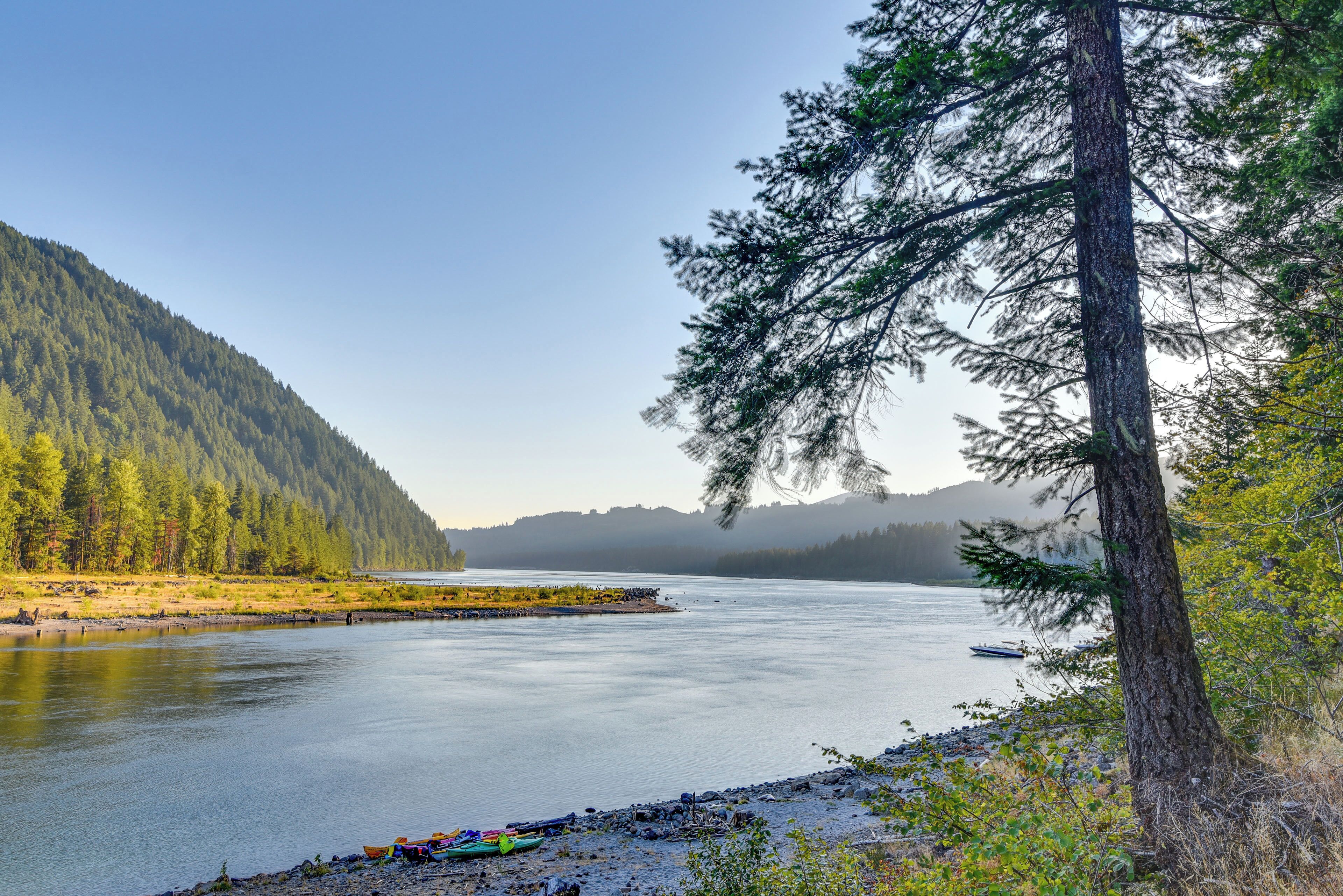 A river with a forested hillside, a boat, and a tree on the shore.