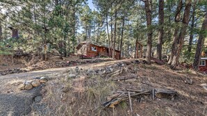 A cabin surrounded by tall pine trees, a dirt path leading to the entrance, and a small wooden structure in the background.