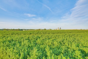 House (3 Bedrooms) | Interior - 3 Mi to Dutch Wonderland: Serene Home w/ Deck (Lancaster)