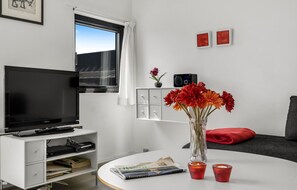 Fernseher, DVD-Player