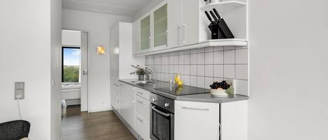 Fridge, oven, stovetop, dishwasher