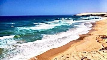 Plage, chaises longues