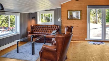 Smart-TV, Kamin