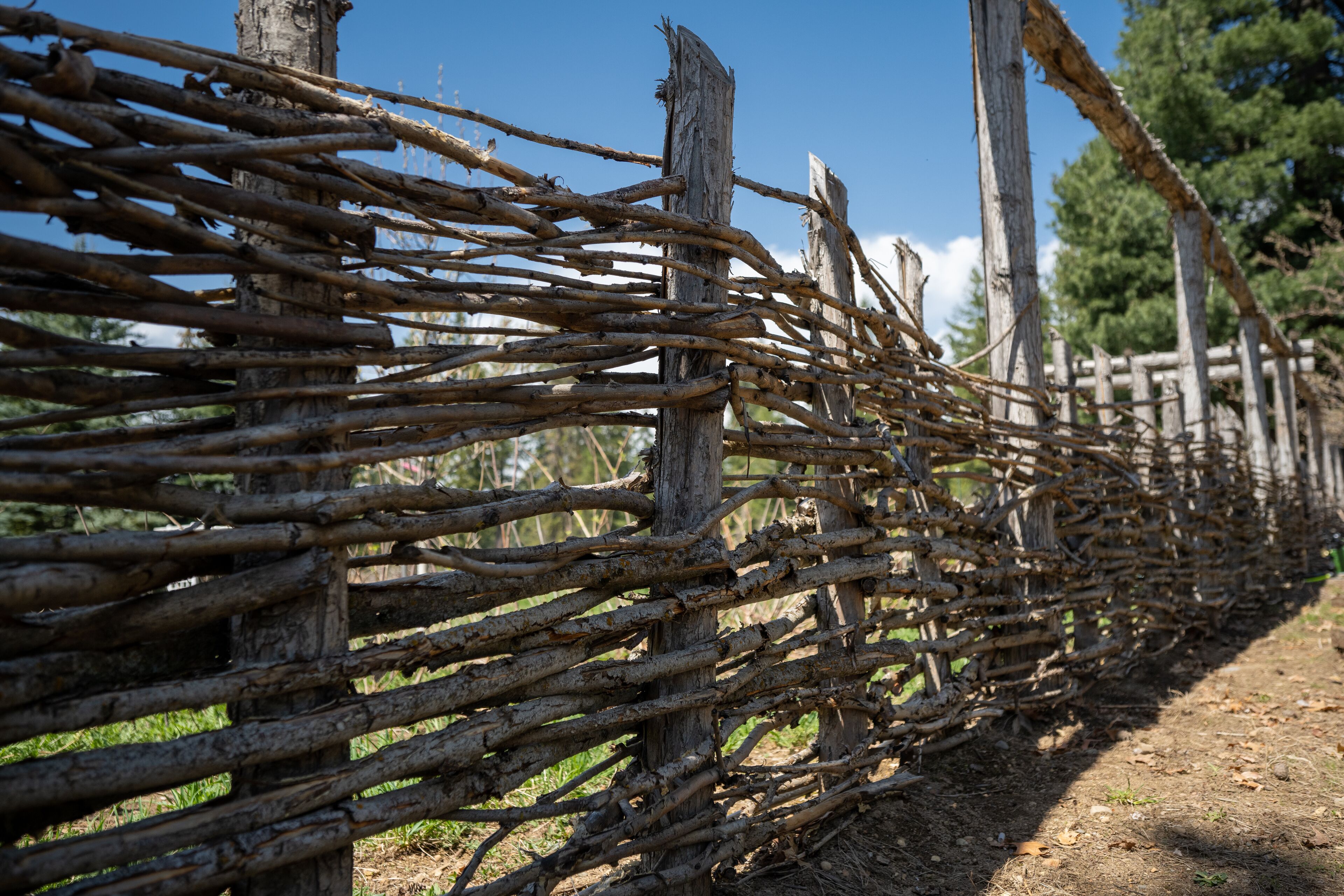 A rustic wooden fence with a natural, uneven structure.