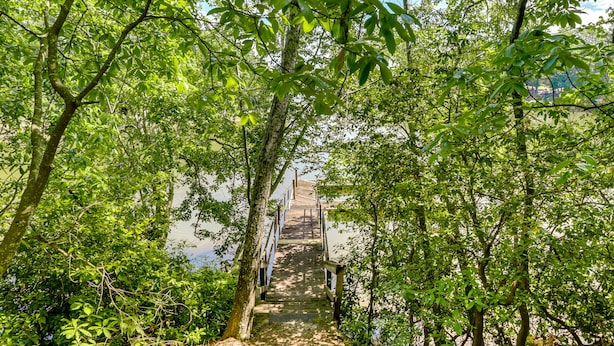 Una escalera de madera rodeada de abundante follaje verde que conduce a un nivel superior.