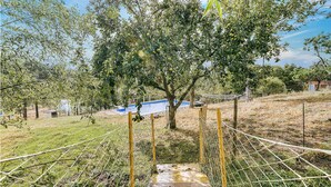 A wooden bridge leading to a tree with green leaves and fruit, surrounded by a grassy area and a blue pool in the background.