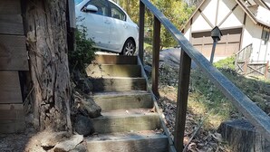 A set of concrete steps leading up to a wooden door, with a metal handrail on the right. - Haven in the trees, minutes from hiking trails (Mill Valley)