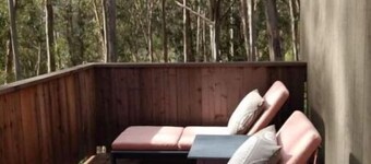 Haven in the trees, minutes from hiking trails