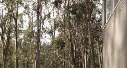 Haven in the trees, minutes from hiking trails