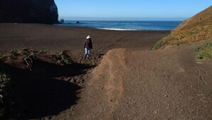 A person walking on a beach with a large rock formation on the left and ocean in the background. - Haven in the trees, minutes from hiking trails (Mill Valley)