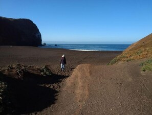 Beach - Haven in the trees, minutes from hiking trails (Mill Valley)