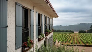 A building with a balcony overlooking a vineyard.