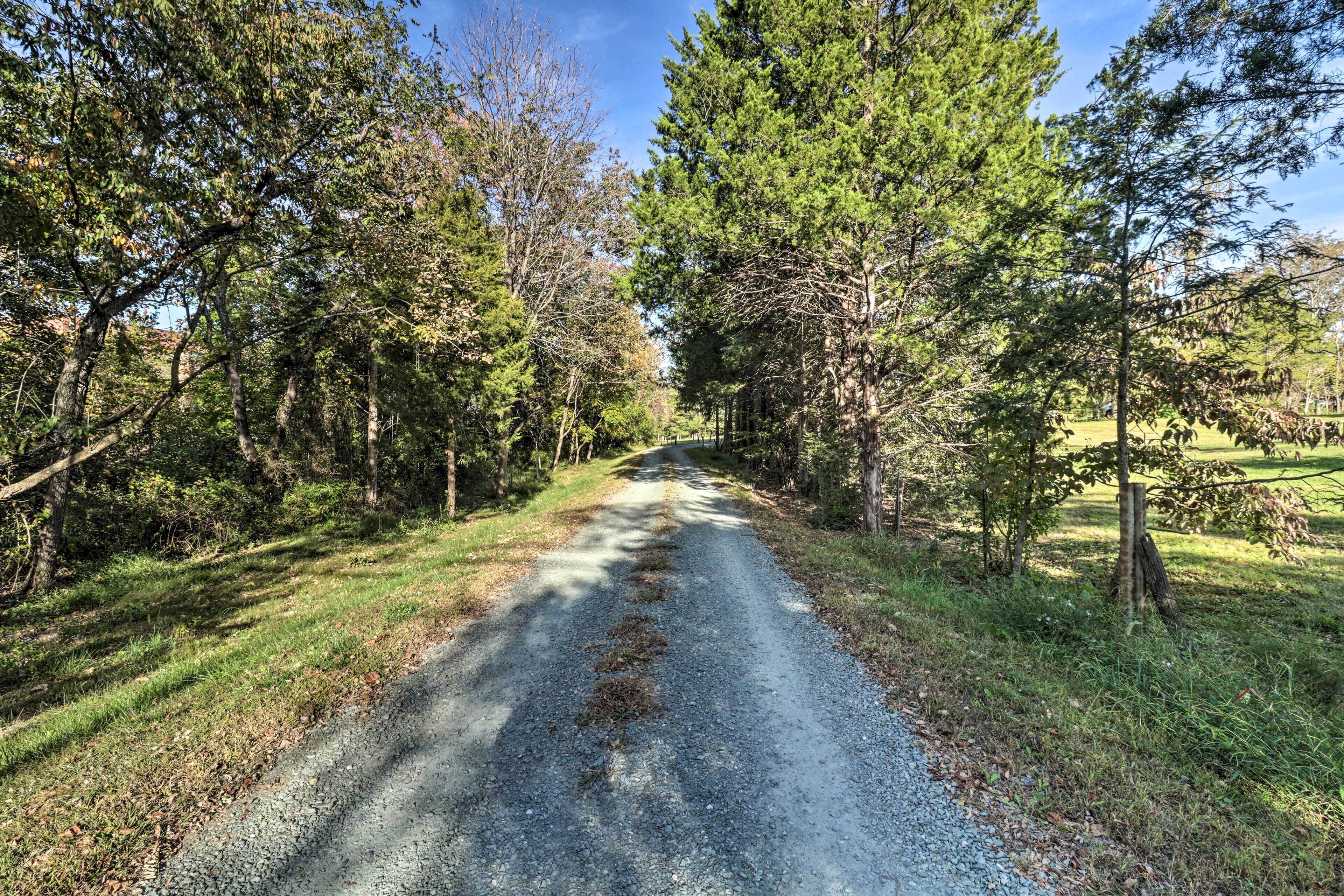A gravel road flanked by trees in a rural setting.