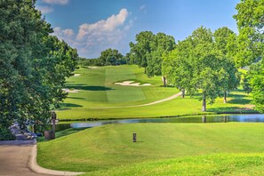 Apartment (1 Bedroom) | Interior