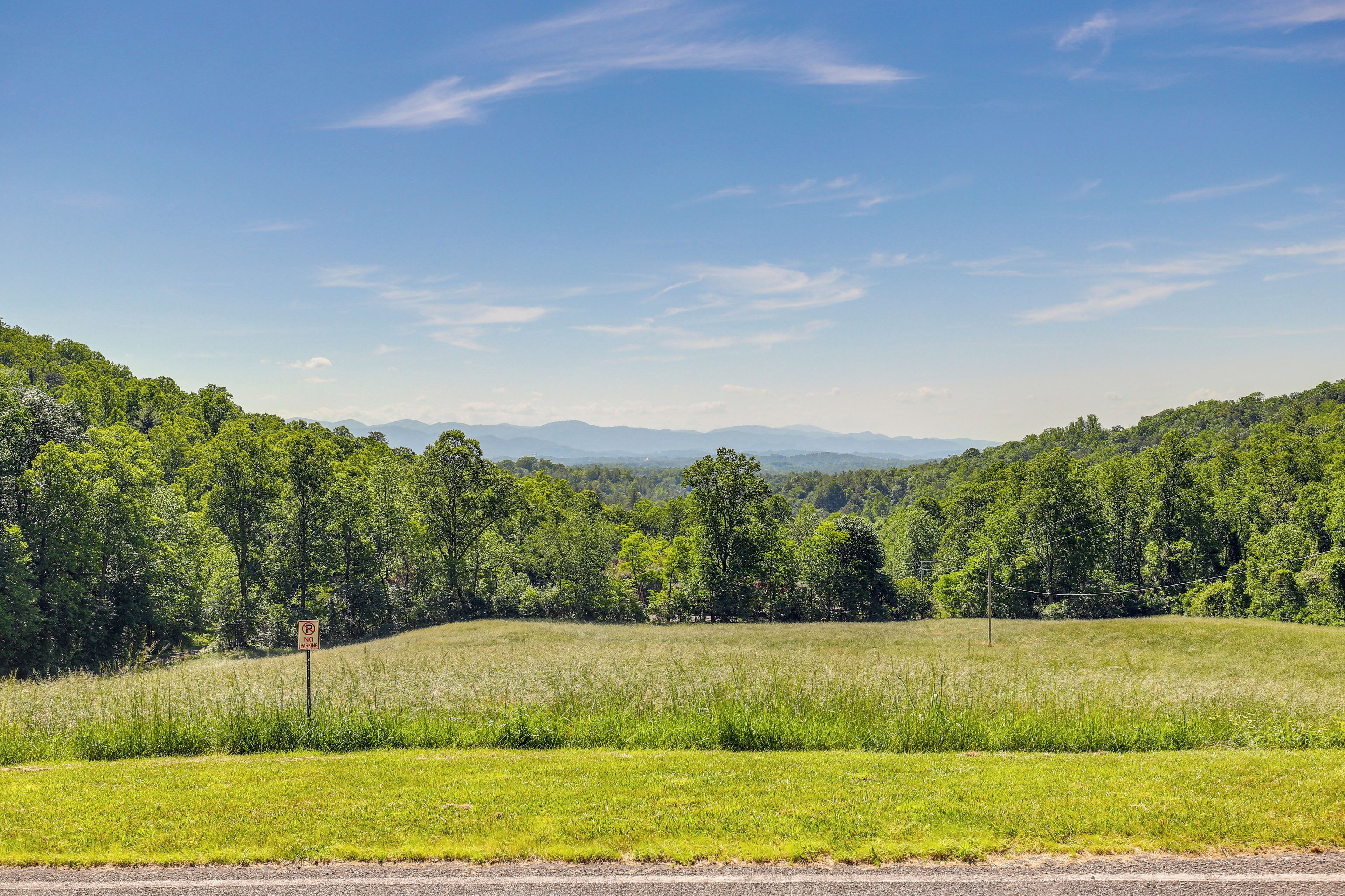 Un paysage rural avec une route, des champs couverts d’herbe et une forêt dense.