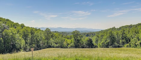 Un paysage rural avec une route, des champs couverts d’herbe et une forêt dense.