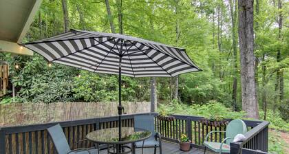 'le-petit Chalet' w/ Fire Pit ~ 15 Mi to Asheville