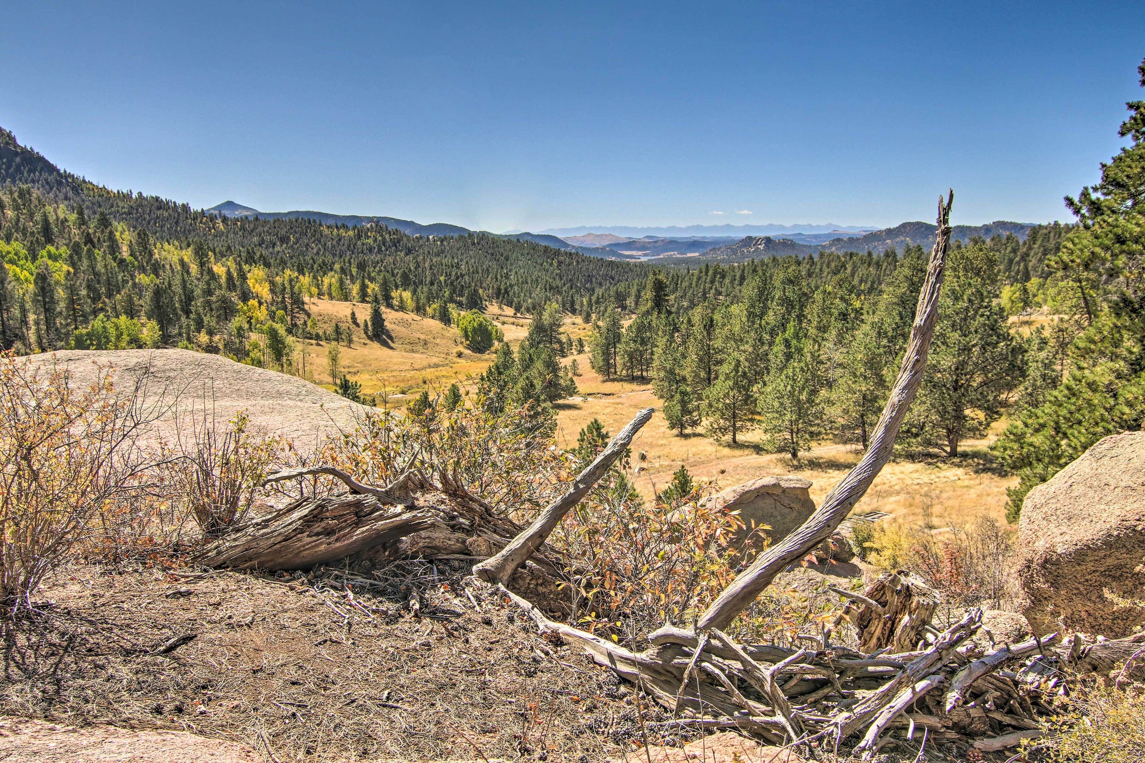 Un paysage montagneux caractérisé par de vastes forêts et un terrain rocheux.