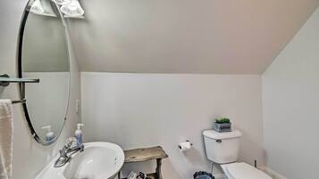 A bathroom with a white sink, mirror, and toilet. There is a small shelf with a plant and a roll of toilet paper.