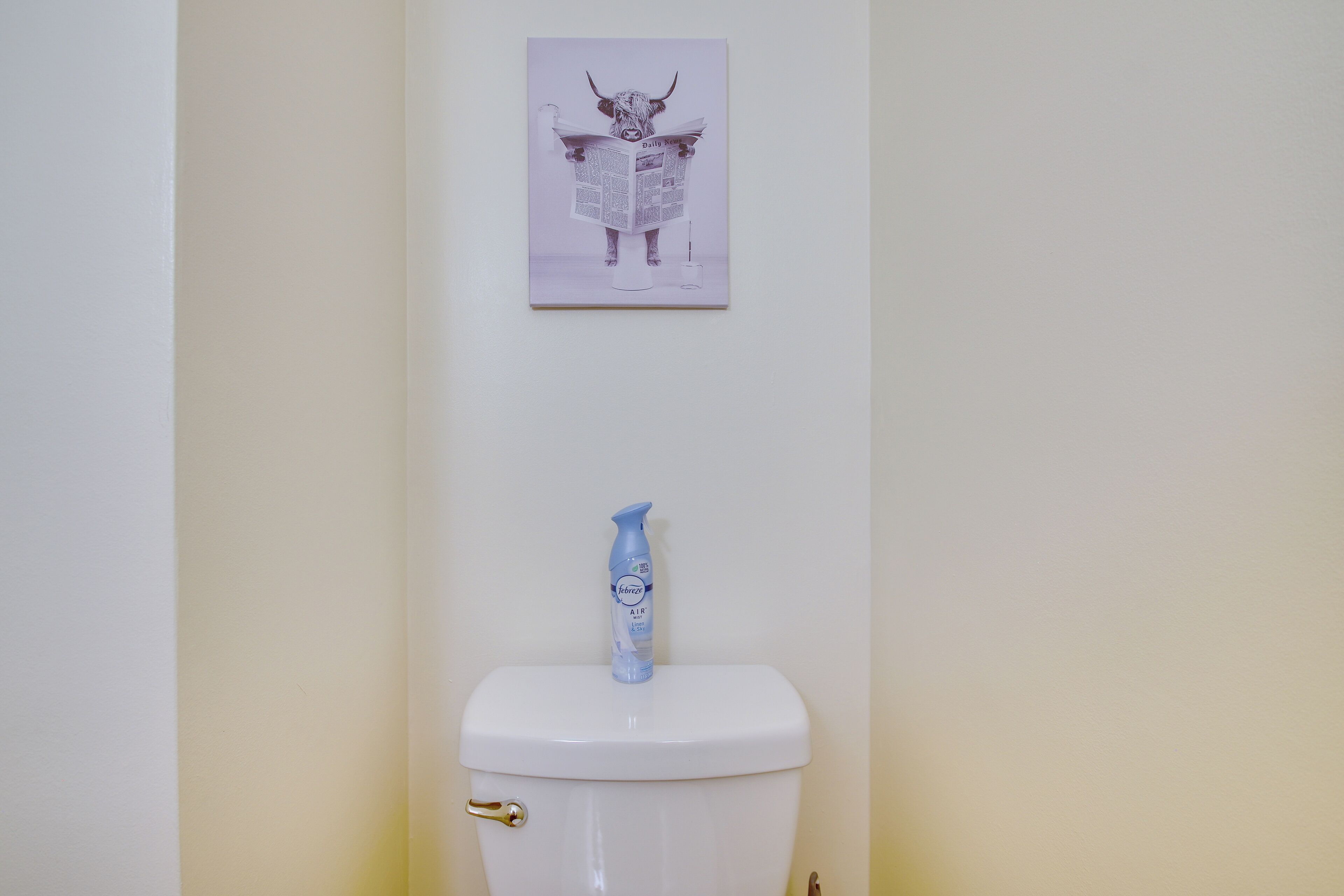 A toilet with a blue spray bottle on top and a wall-mounted picture above it.