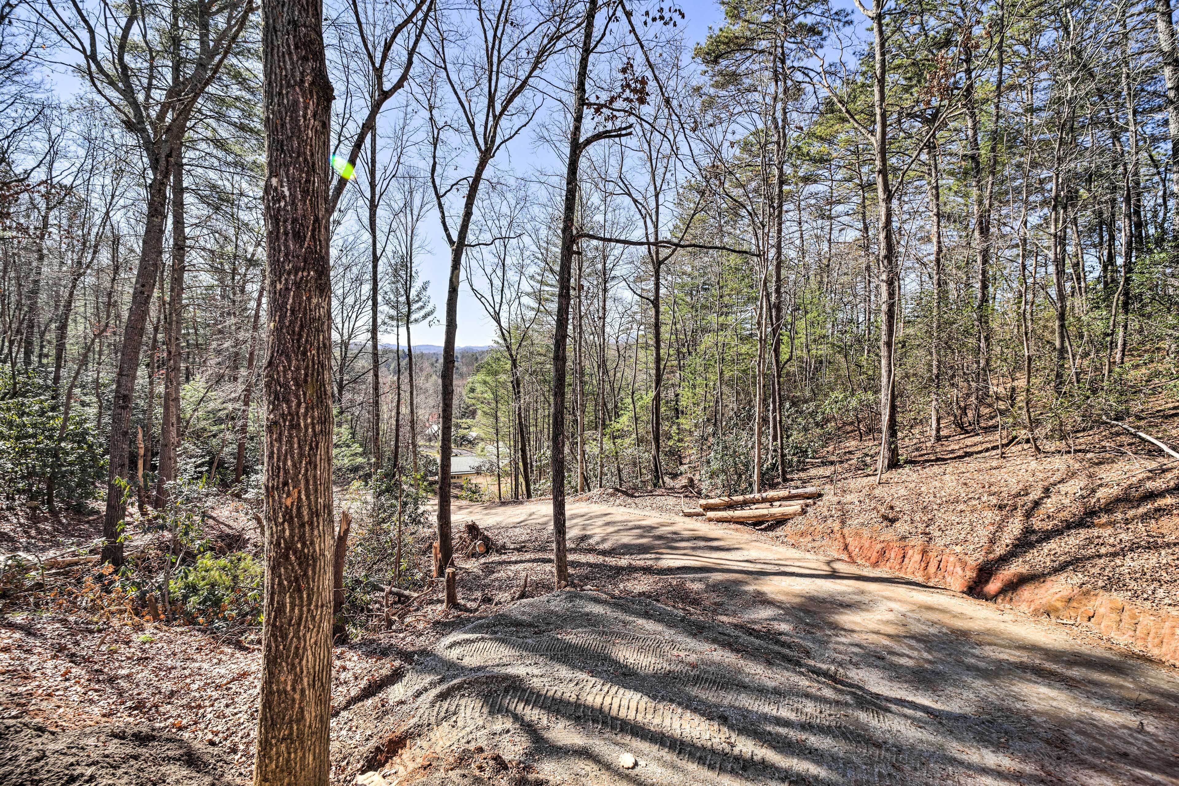 A forested area with a dirt path.