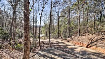 A forested area with a dirt path.