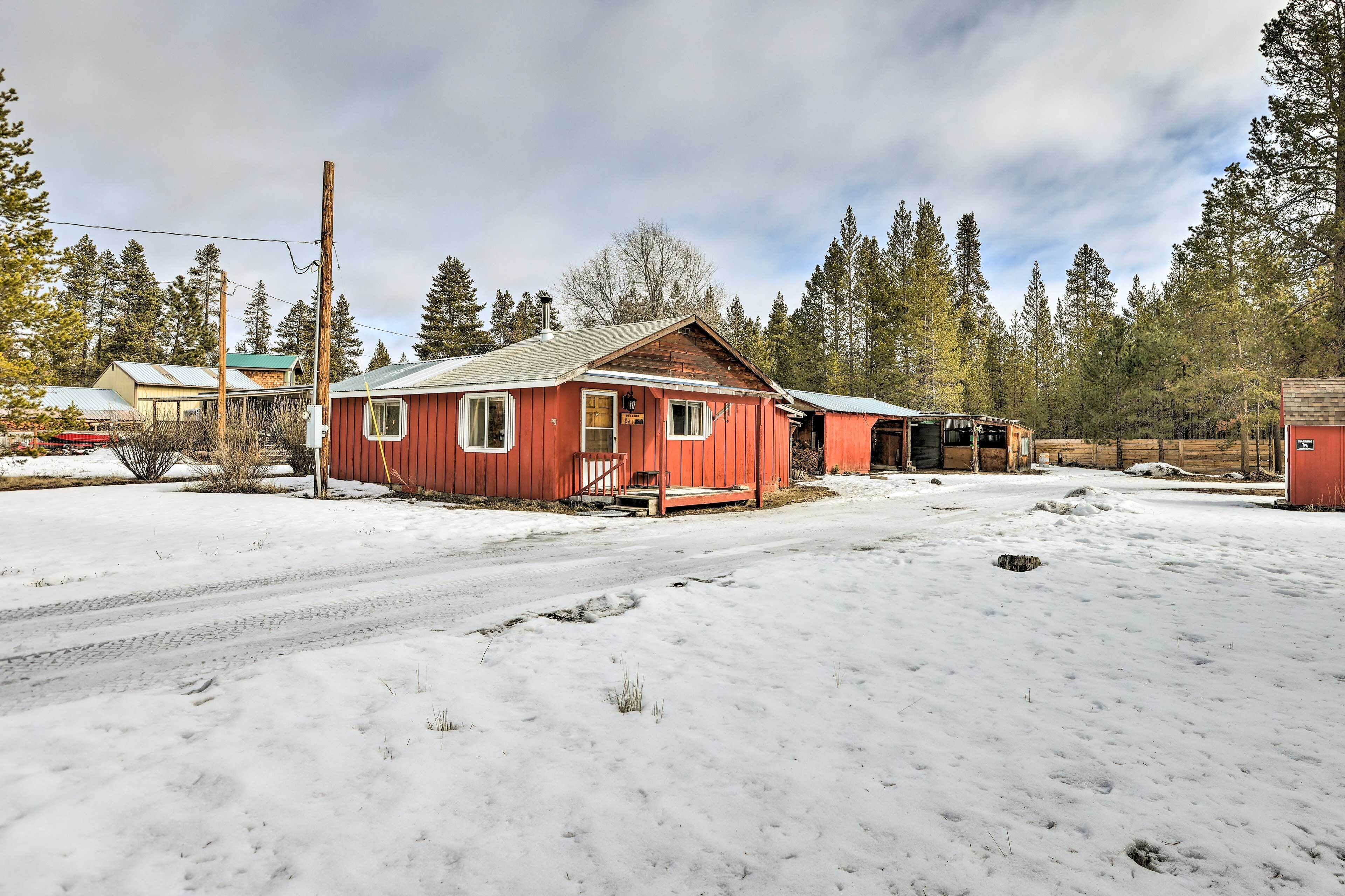 Nhà (1 Bedroom) | Nội thất