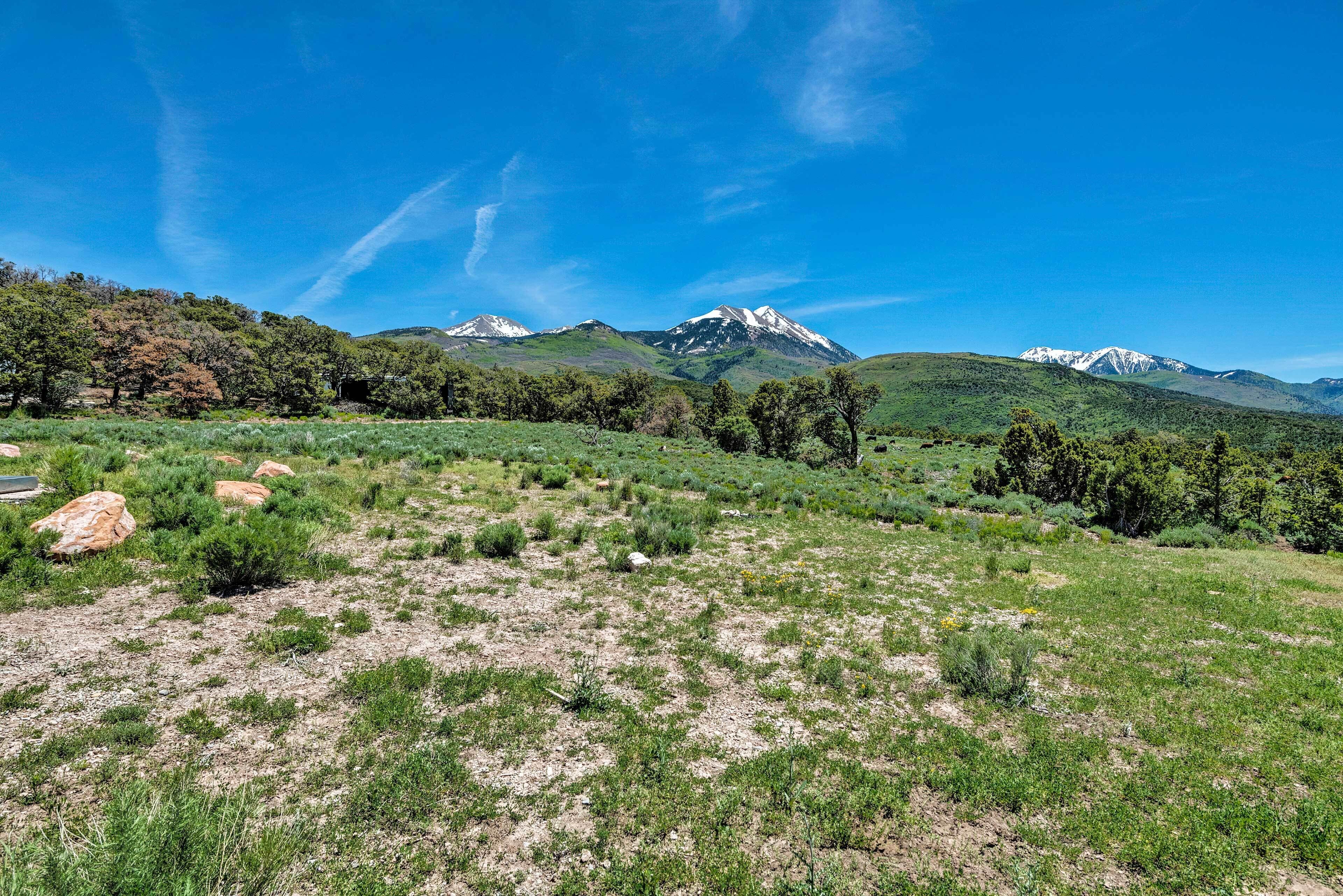A mountainous landscape with green fields and trees.