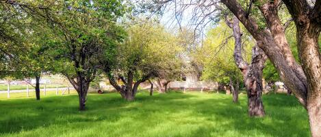 Rumah (4 Bedrooms) | Interior