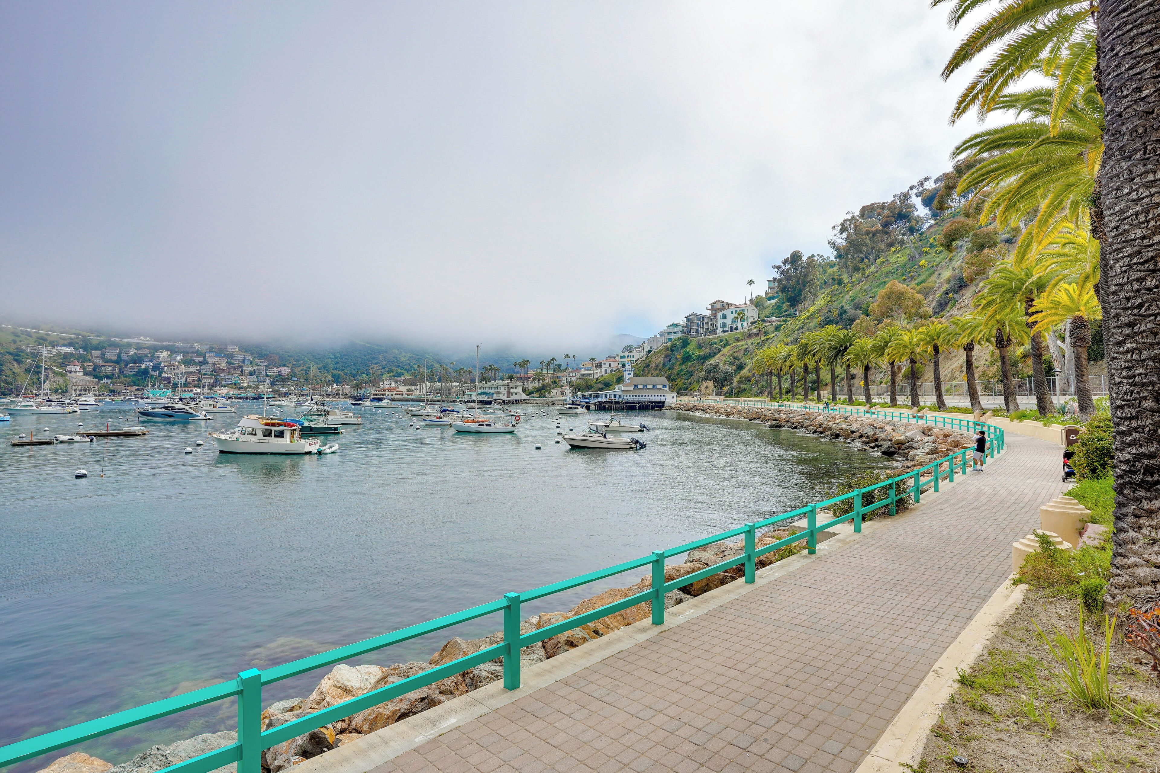 A coastal marina with boats, a paved walkway, and a row of palm trees.
